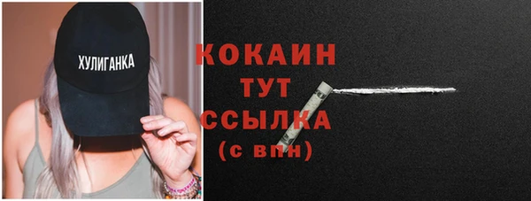 дживик Осинники