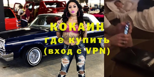 дживик Осинники
