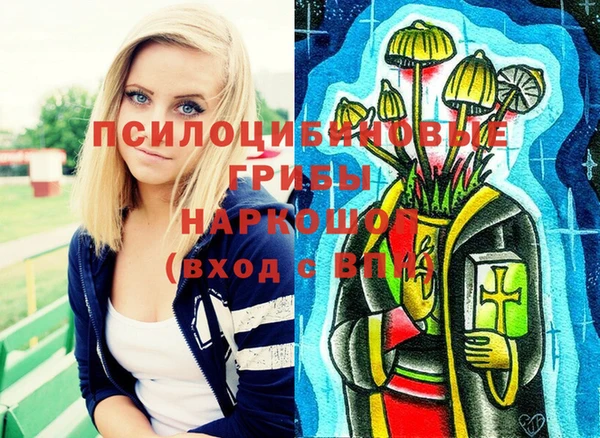 МДПВ Осташков