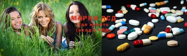 дживик Осинники