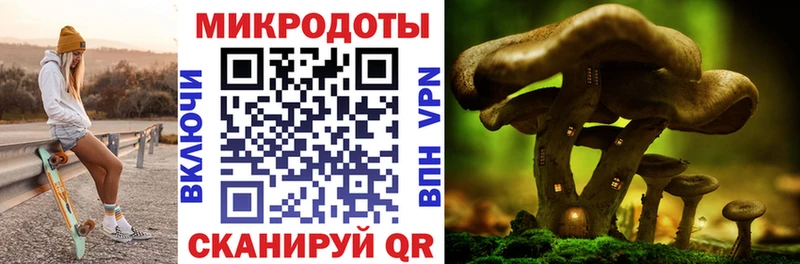 кракен ONION  Курлово  Галлюциногенные грибы ЛСД 